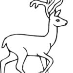 Raskrasil.com-Deer-Colorıng-Pages-42