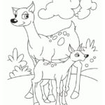 Raskrasil.com-Deer-Colorıng-Pages-57
