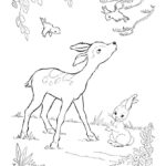 Raskrasil.com-Deer-Colorıng-Pages-59