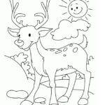 Raskrasil.com-Deer-Colorıng-Pages-63