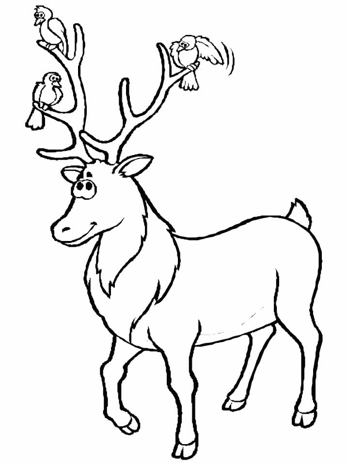 Raskrasil.com-Deer-Colorıng-Pages-64