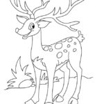 Raskrasil.com-Deer-Colorıng-Pages-67