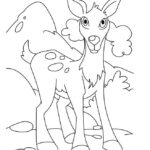 Raskrasil.com-Deer-Colorıng-Pages-69