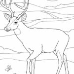 Raskrasil.com-Deer-Colorıng-Pages-72