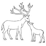 Raskrasil.com-Deer-Colorıng-Pages-74