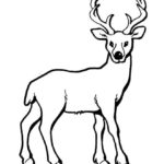 Raskrasil.com-Deer-Colorıng-Pages-76