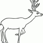 Raskrasil.com-Deer-Colorıng-Pages-84
