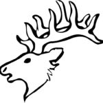 Raskrasil.com-Deer-Colorıng-Pages-86