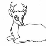 Raskrasil.com-Deer-Colorıng-Pages-88
