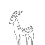 Raskrasil.com-Deer-Colorıng-Pages-91