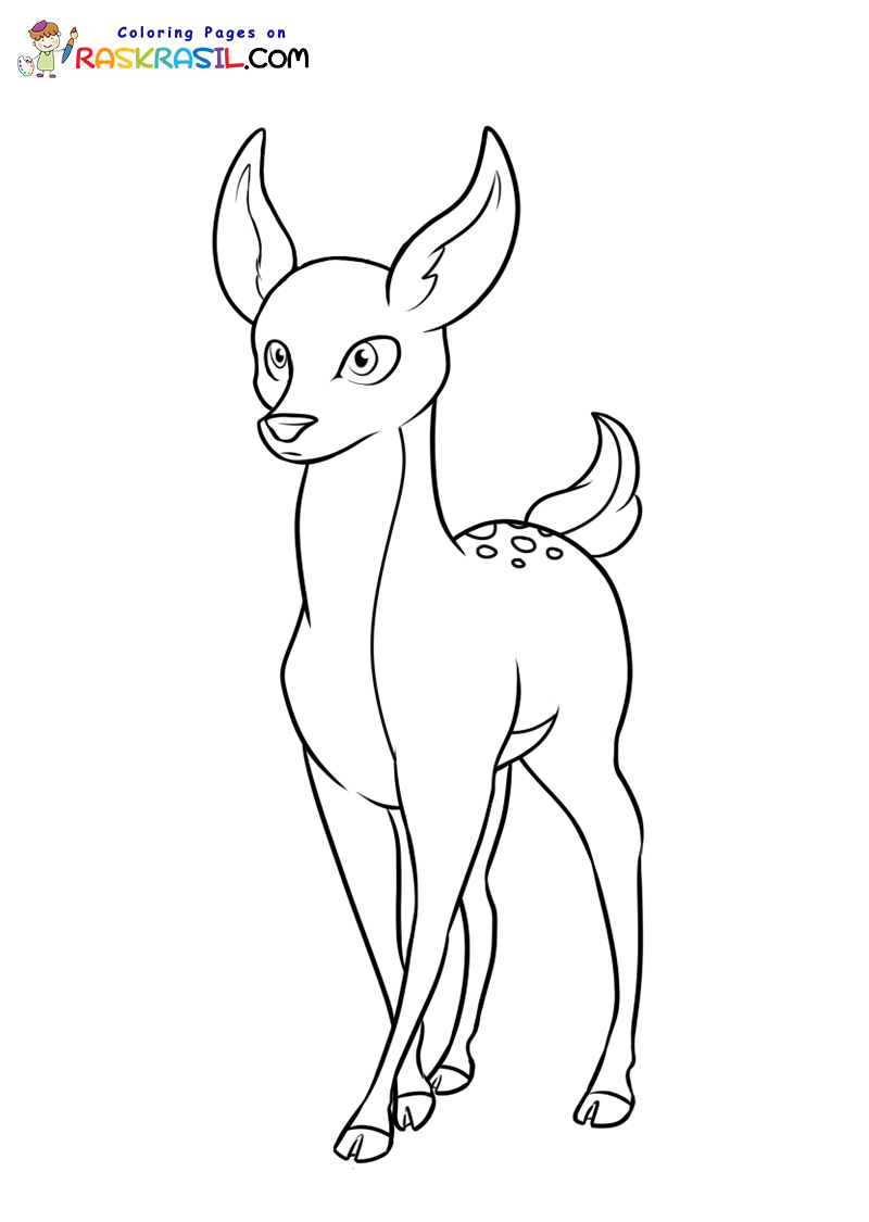 Raskrasil.com-Deer-New-Colorıng-Pages-3