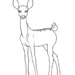 Raskrasil.com-Deer-New-Colorıng-Pages-5