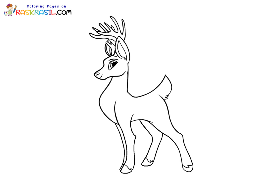 Raskrasil.com-Deer-New-Colorıng-Pages-8