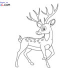Raskrasil.com-Deer-New-Colorıng-Pages-9
