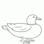 Raskrasil.com-Duck-Coloring-Pages-100