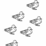 Raskrasil.com-Duck-Coloring-Pages-15
