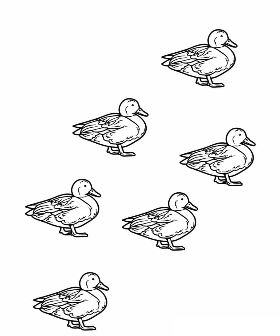 Raskrasil.com-Duck-Coloring-Pages-15