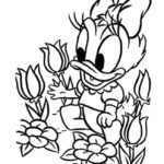 Raskrasil.com-Duck-Coloring-Pages-18