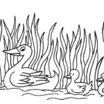 Raskrasil.com-Duck-Coloring-Pages-2
