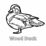 Raskrasil.com-Duck-Coloring-Pages-25