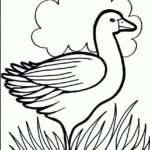 Raskrasil.com-Duck-Coloring-Pages-37