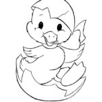 Raskrasil.com-Duck-Coloring-Pages-43