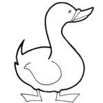 Raskrasil.com-Duck-Coloring-Pages-47
