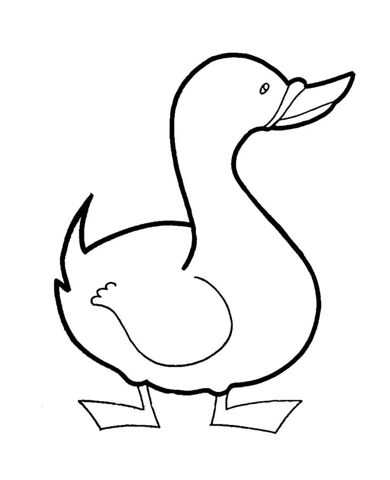 Raskrasil.com-Duck-Coloring-Pages-47