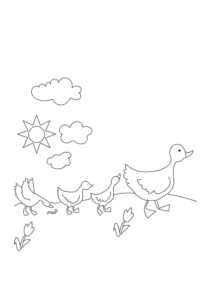 Raskrasil.com-Duck-Coloring-Pages-48