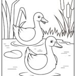 Raskrasil.com-Duck-Coloring-Pages-5