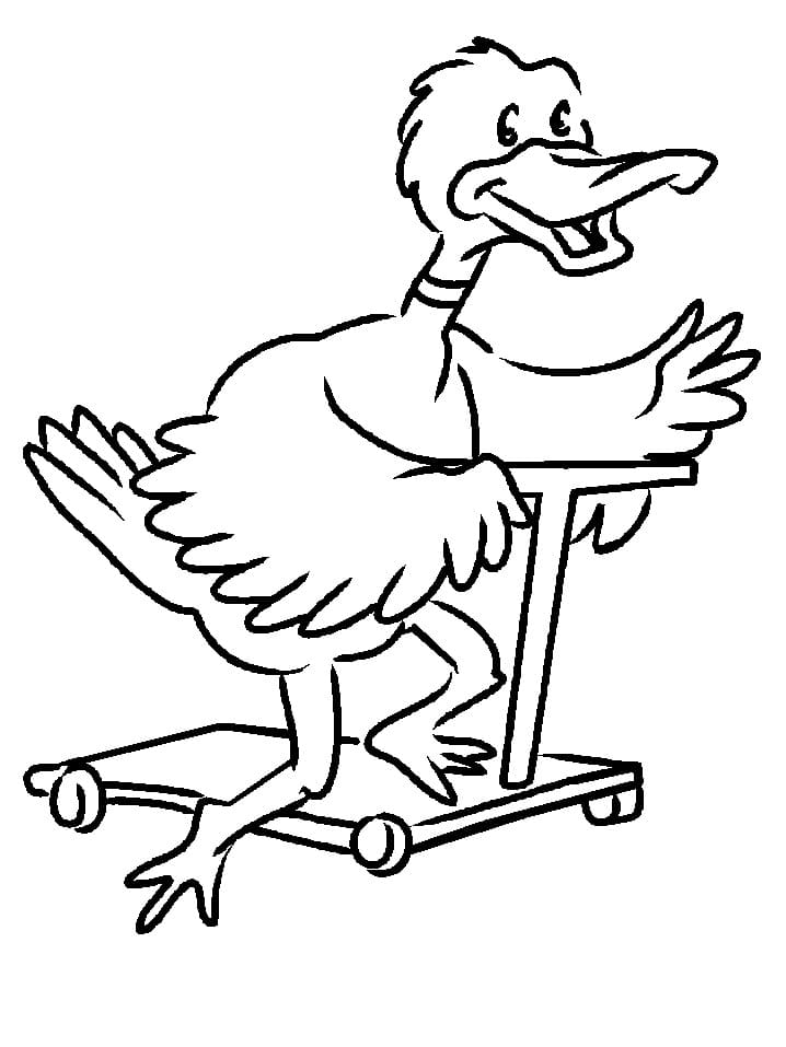 Raskrasil.com-Duck-Coloring-Pages-50