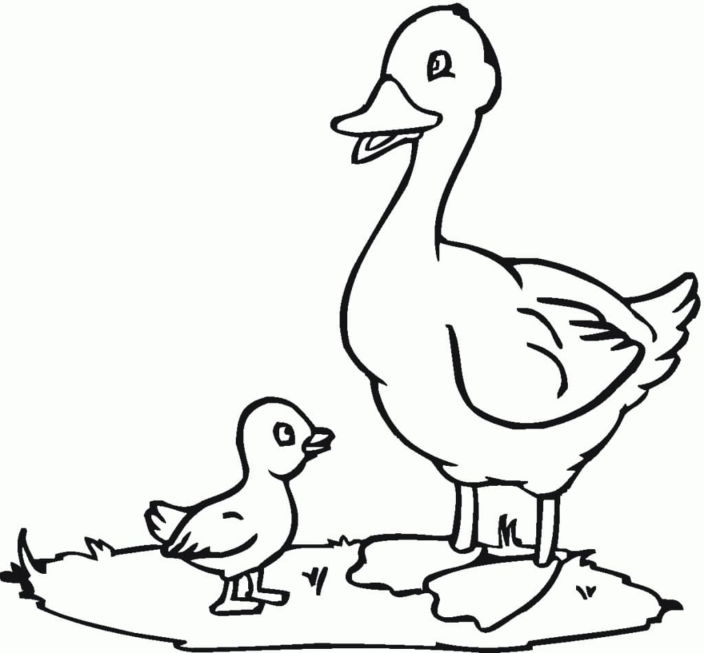 Raskrasil.com-Duck-Coloring-Pages-52