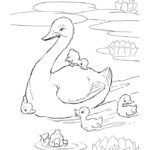 Raskrasil.com-Duck-Coloring-Pages-60