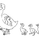 Raskrasil.com-Duck-Coloring-Pages-67