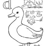 Raskrasil.com-Duck-Coloring-Pages-68