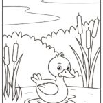 Raskrasil.com-Duck-Coloring-Pages-7