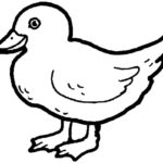 Raskrasil.com-Duck-Coloring-Pages-70