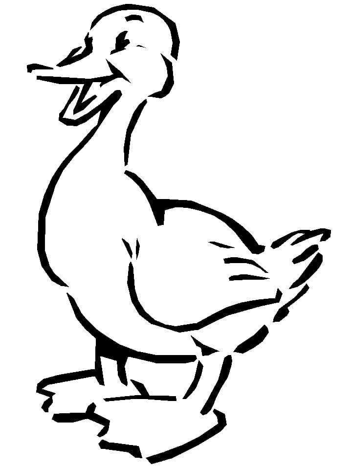 Raskrasil.com-Duck-Coloring-Pages-74