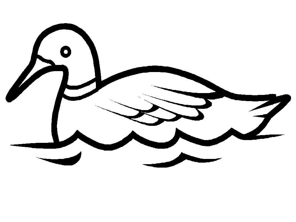 Raskrasil.com-Duck-Coloring-Pages-75