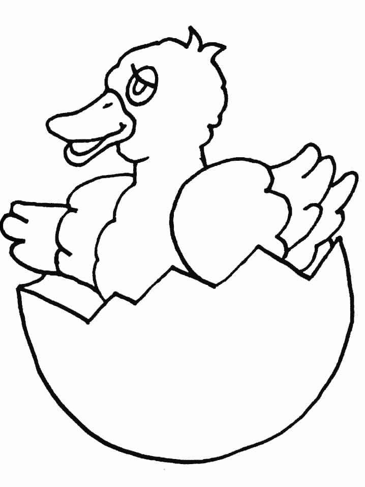 Raskrasil.com-Duck-Coloring-Pages-76