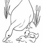 Raskrasil.com-Duck-Coloring-Pages-77