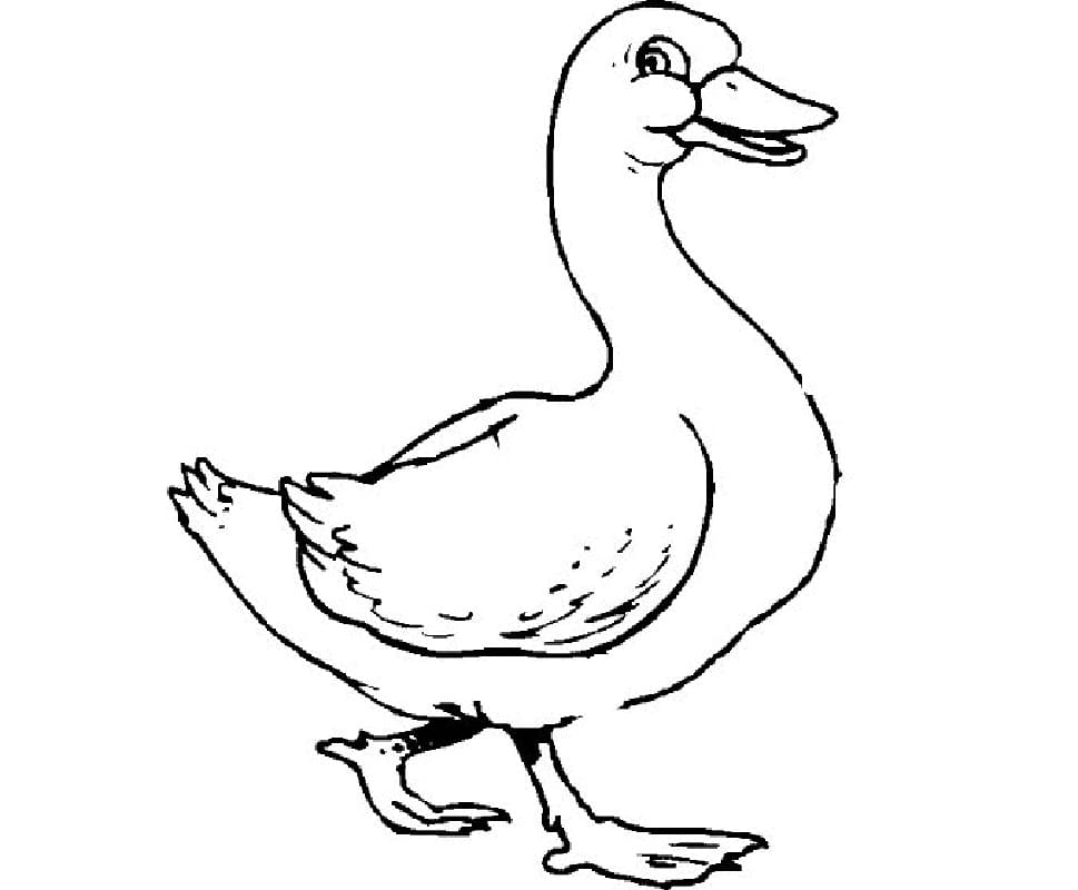 Raskrasil.com-Duck-Coloring-Pages-78