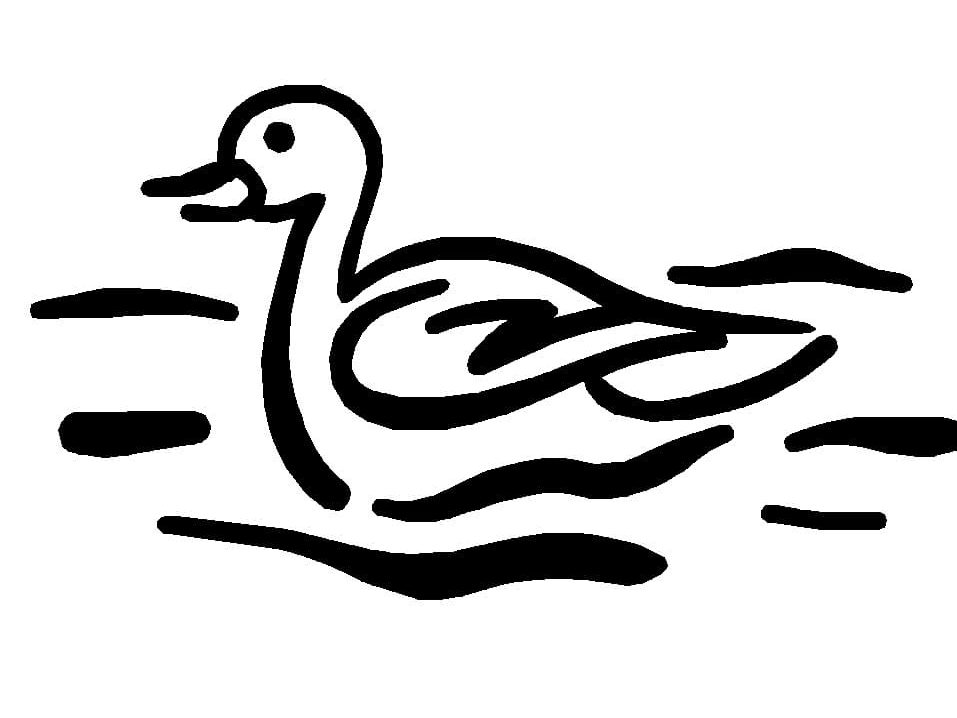 Raskrasil.com-Duck-Coloring-Pages-80