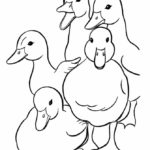 Raskrasil.com-Duck-Coloring-Pages-85