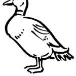 Raskrasil.com-Duck-Coloring-Pages-86