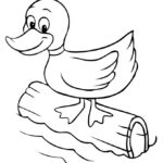 Raskrasil.com-Duck-Coloring-Pages-87