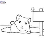 Raskrasil.com-New-Coloring-Pages-Hamster-8
