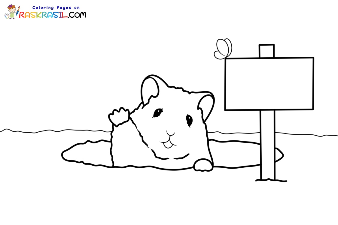 Raskrasil.com-New-Coloring-Pages-Hamster-8