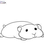 Raskrasil.com-New-Coloring-Pages-Hamster-9