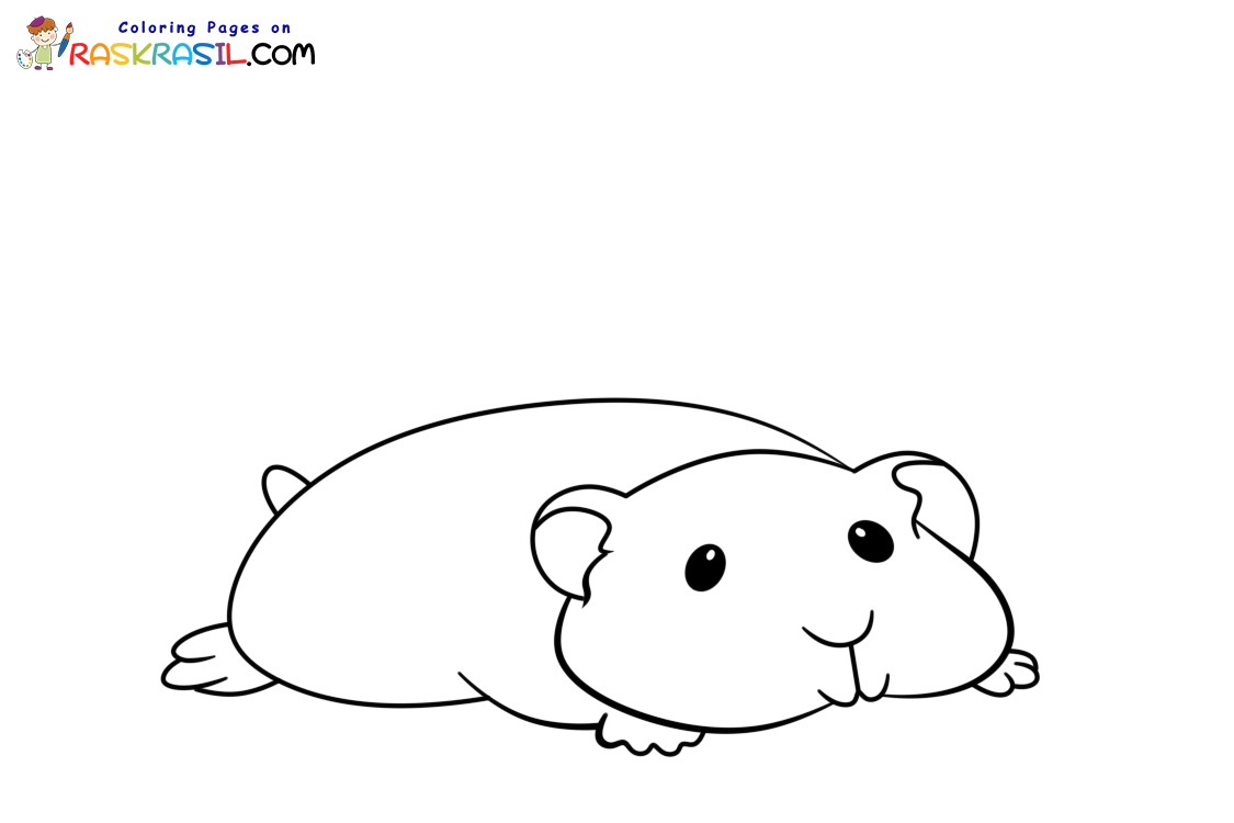 Raskrasil.com-New-Coloring-Pages-Hamster-9